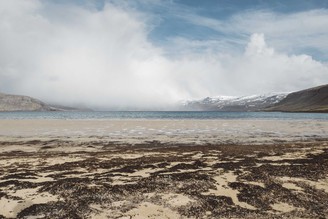 抵達冰島國土最西邊只為了看puffin北極海鸚