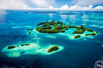 「潛」進彩虹故鄉 相遇在帛琉的水藍天堂