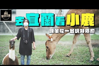 「台版小奈良」宜蘭療癒農場餵鹿，還有羊駝的近距離接觸！| 日本男子的家庭料理 TASTY NOTE