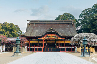 日本福岡必訪景點「太宰府天滿宮」百年大整修 臨時本殿具特色必打卡