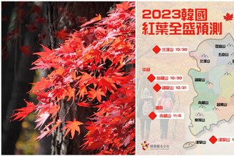 2023韓國楓紅預測出爐！秋季遊韓國賞美麗「楓」景、啖美食