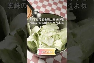 海藻高麗菜沙拉，乾燥海帶這樣用！ 日本男子的家庭料理 TASTY NOTE