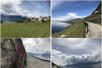 瑞士遊(3/13) → Lausanne洛桑  [健行 ] < Lavaux Vineyard Terraces 瑞士品酒路線: 拉沃葡萄園梯田