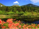 6-9月北海道+東北悠遊秘境森呼吸