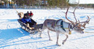 幸福極光，北緯67度芬蘭極地探索8天