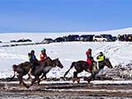 蒙古大帝國 成吉思汗盃 冬令營 滑雪騎馬 6日