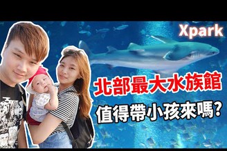 北部最大Xpark水族館適合帶小孩去嗎?!｜盲抽限量海龜娃娃【Bobo TV】