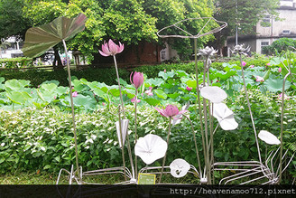 [竹北] 住宅區附近走路去就可以免費賞蓮花，新瓦屋客家文化保存區