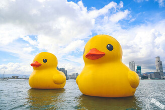 黃色小鴨成對遊高雄港 晶英國際行館獨家推出「搭遊艇看小鴨」遊程