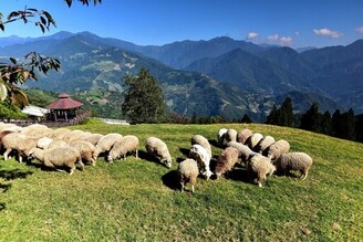 5月南投最對味 善用旅程規劃App與共享租車服務好康多