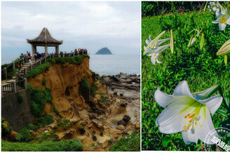 「和平島」限定花海美景 「2025 四季旅行票」＄299玩四次，還有機會獲沖繩免費來回機票