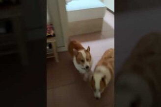 颱風過後，終於放晴