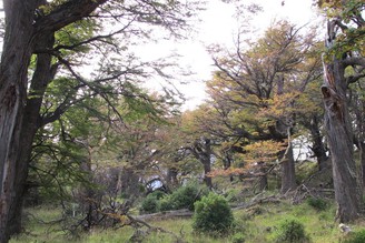 最後的淨土Patagonia 〈一〉-- 百內國家公園