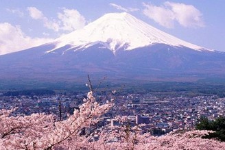 大人の靜岡-寒櫻與富士山