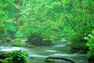 日本獨一無二的溪流美景