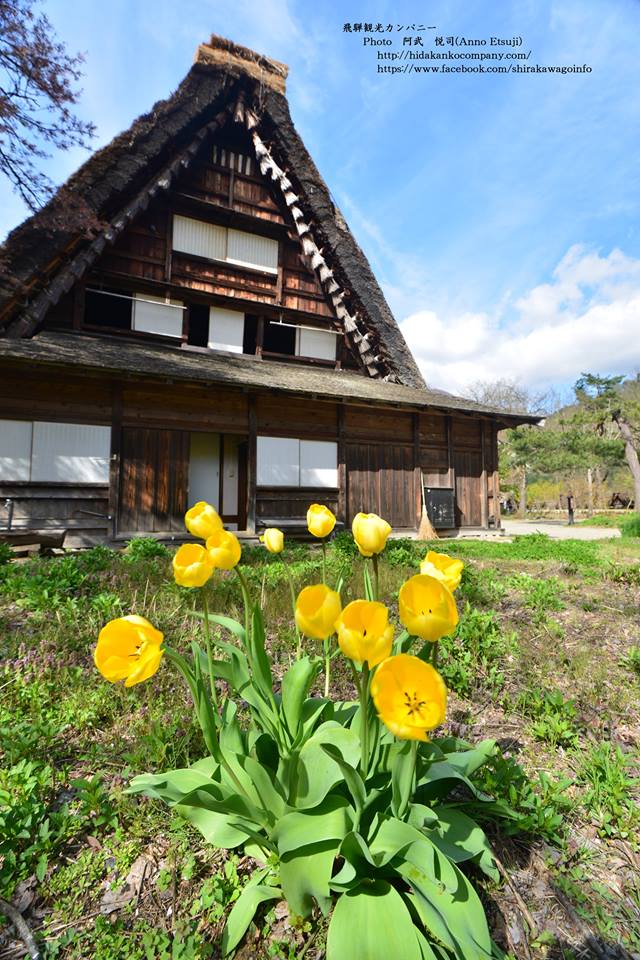 PChome旅行團 白川鄉合掌村