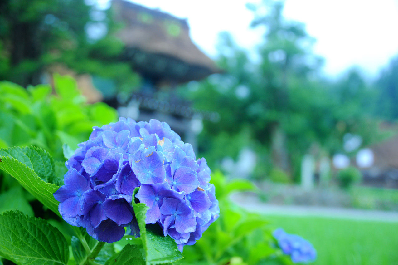 PChome旅行團 合掌村