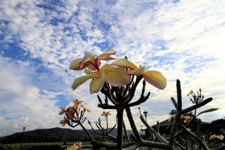 出發吧，花蓮台東小旅行！（花蓮篇）