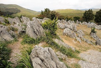 秋芳洞和山陰小京都津和野一日遊