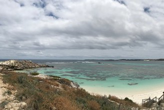 西澳伯斯附近雙島Penguin Island+ Rottnest Island環島攻略