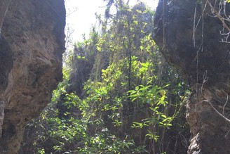 世界最小島國第三小國:諾魯(nauru)