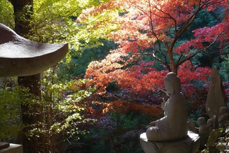 神奈川第一賞楓景點『大山』