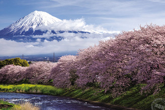 2019靜岡BURABURA GO行程盡覽富士山美景