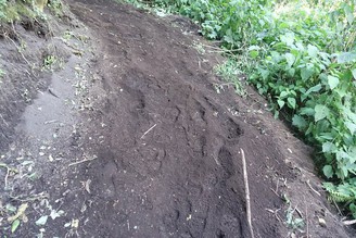 瓜地馬拉 爬上Fuego活火山差點沒命歷險記