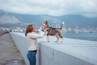 【挪威】不給跑就擺臭臉。狗拉雪橇 Dog Sledding in Tromsø