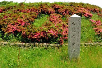 大阪堺市-百舌鳥古墳群