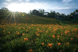 【熱騰騰赤科山花況！】
