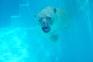 靜岡小療癒  #靜岡 #日本平動物園  
