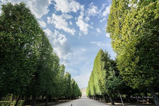 【奧地利】我眼中滴維也納，原來是這樣啊！ 免費景點、小訣竅、住宿、直飛航班分享