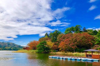 夏季已接近尾聲〜
