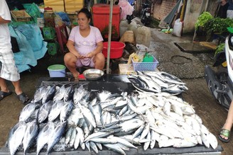 9天8夜親子自助富國島，越南版馬爾地夫，免簽、小資花費入住五星級飯店