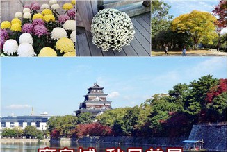 [日本-廣島]Day4-1：廣島推薦景點-「廣島城」秋日美景，順道參觀菊花展！