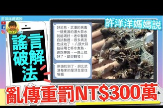 【謠言破解法】武漢屋頂全蝙蝠？大蒜水治病？分享此影片能省NT$300萬罰金！［YYTV 許洋洋媽媽說］