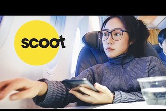酷航Scoot | 新加坡廉航商務艙免費Wifi爽飛