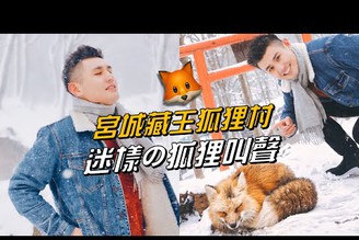 迷樣の狐狸叫聲｜宮城藏王狐狸村 feat. Amber.L