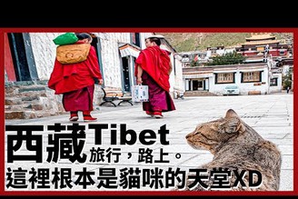 【西藏Ep17】這裡根本是貓咪的天堂！世界最大尊銅佛像&班禪喇嘛的駐錫地｜札什倫布寺｜Tibet｜旅行，路上。