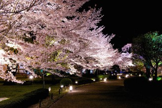 2017 京都賞櫻必去五大景點攻略與住宿推薦