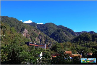 台中景點｜山城慢遊心體驗～八仙山之臥虎藏龍復刻版竹林！免費泡到爽的谷關溫泉足湯！