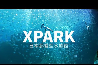 Xpark水族館一日遊，來跟著我一起看！華泰名品城隨意逛，折扣比想像大！台灣旅遊Vlog｜家庭兄弟