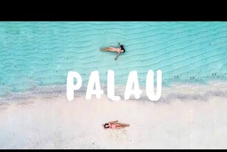 PALAU VLOG PART 1｜帛琉泡泡｜天堂之島｜船長的秘境