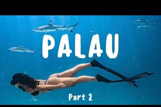 PALAU VLOG PART 2｜與鯊魚共遊｜水母星球｜百年干貝城