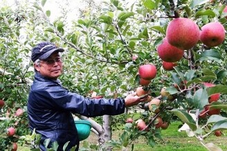 秋冬長野採蘋果、吃信州蕎麥麵