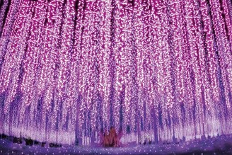 日本栃木縣冬季限定，燈會魅力浪漫開演