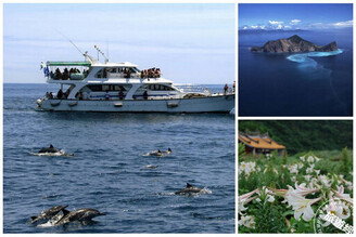 大東北角觀光圈「螢」來「鯨」喜 大推生態旅遊