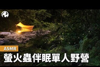 [ASMR] 靜謐溪邊的單人野營，黑夜中看見點點螢火蟲