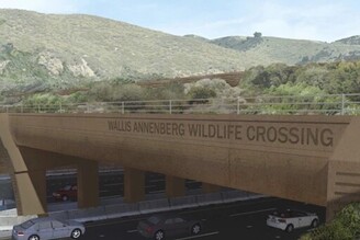 世界最大野生動物通道將動工 橫跨加州10線道高速公路 為美洲獅留生機